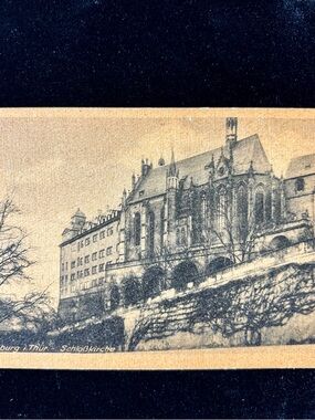 Antique 1910 Altenburg Germany Postcard Schloss Castle Winter Bare Trees 014099